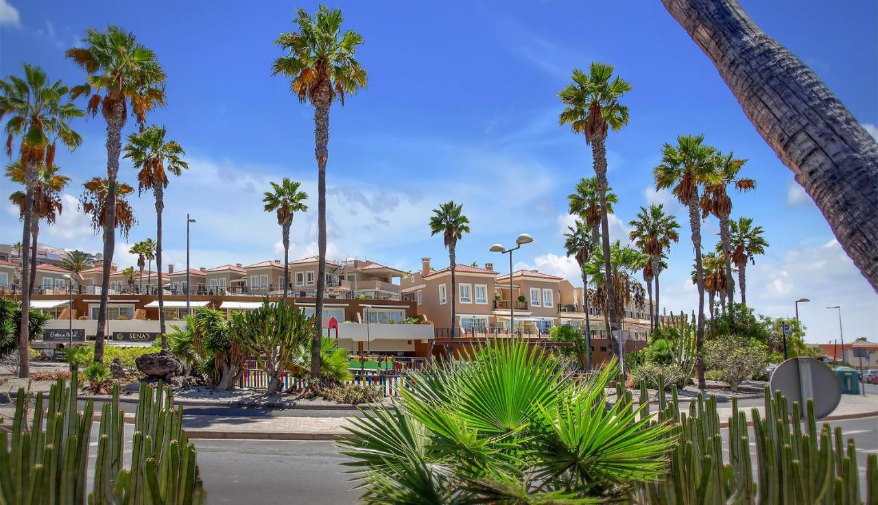 Luxury House Paraiso Del Palm Mar Екстериор снимка
